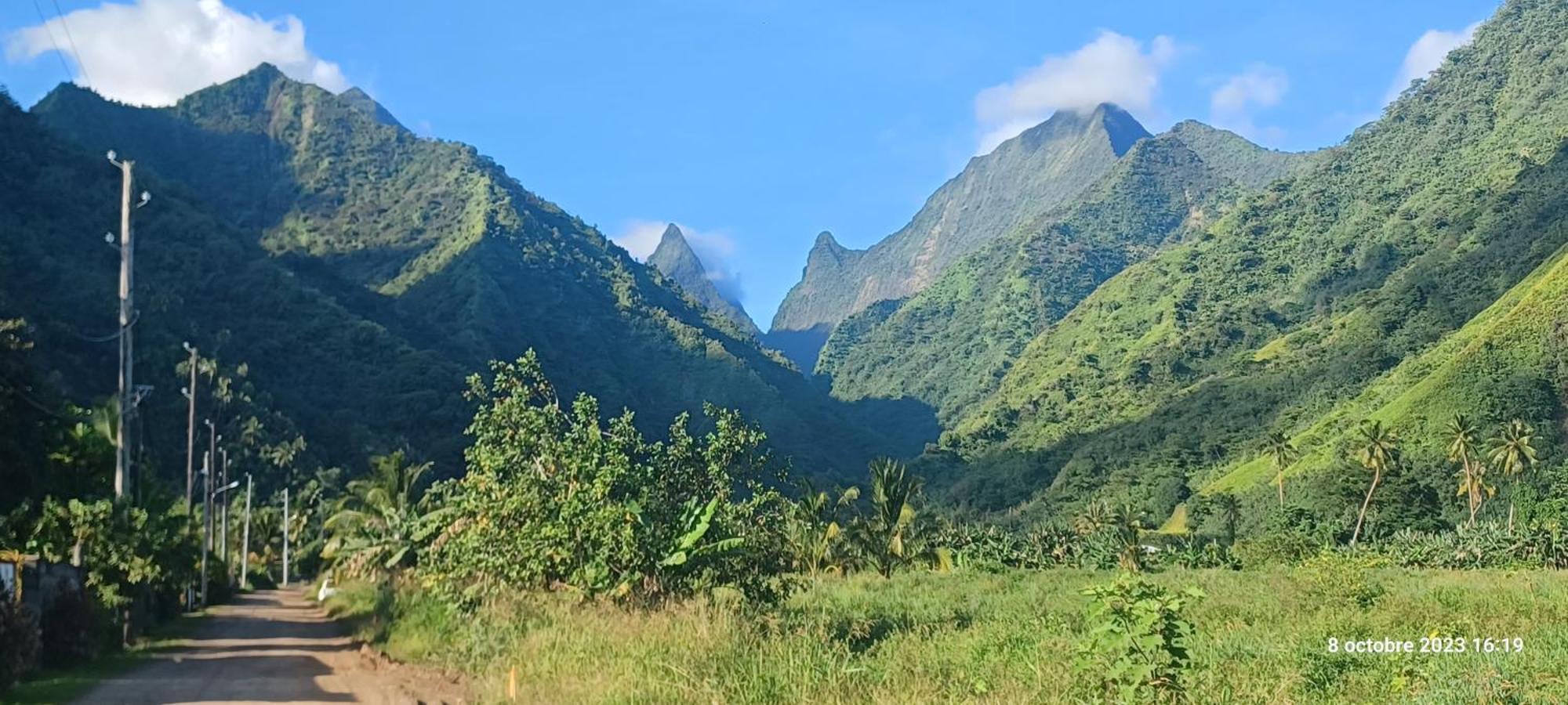 Hava'E Lodge Теахупоо Экстерьер фото
